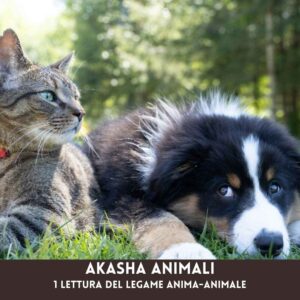 Akasha Animali - Lettura del legame Anima–Animale
