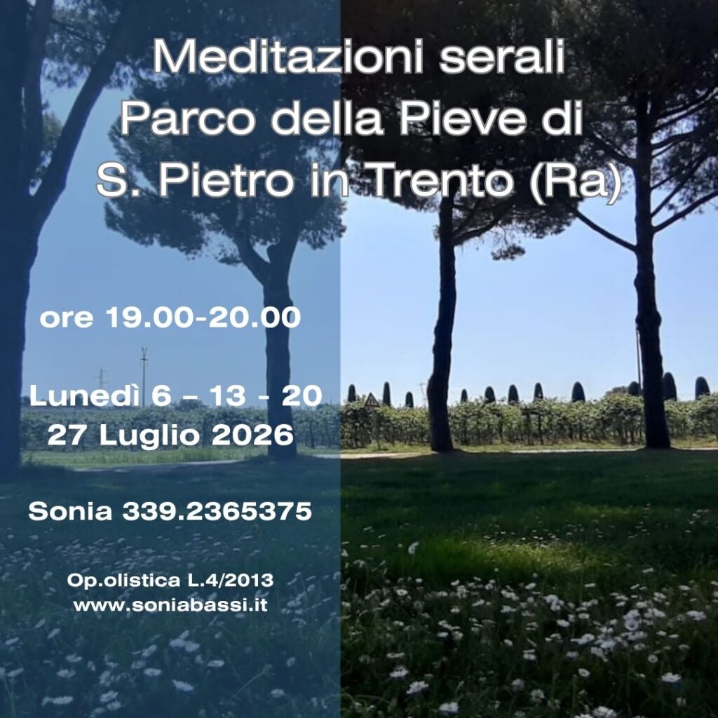 meditazioni ravenna 2026